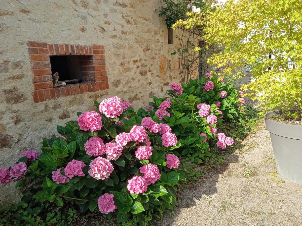 L'Amalgam' Bed and Breakfast Ainay-le-Vieil Exteriör bild